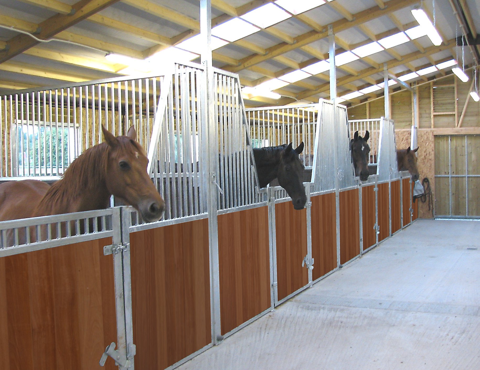 horse_inside)stables