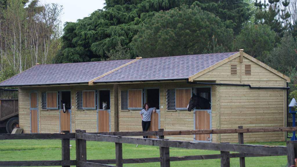 timber_stables