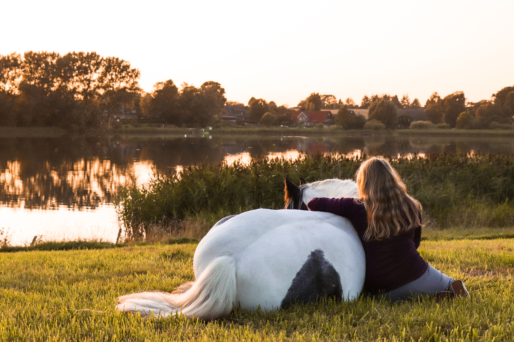 owner and horse cuddling