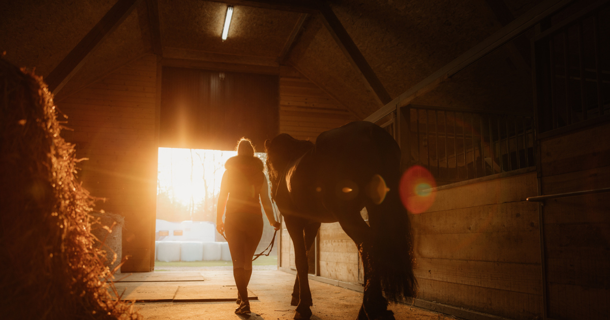 Horse Health and the Importance of Natural & Indoor Light