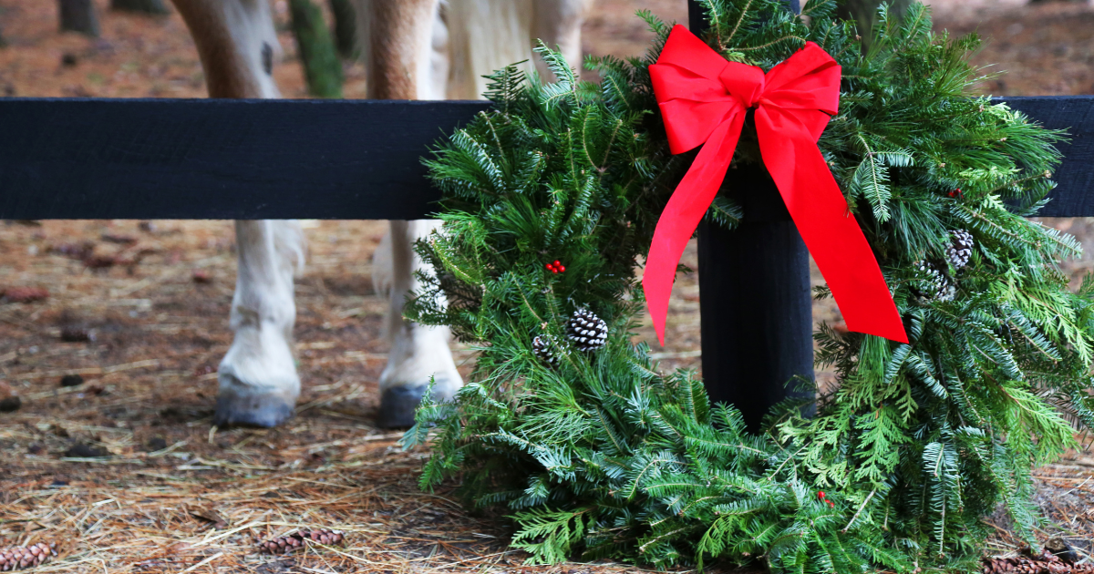 Christmas Decoration Ideas for Horse Stables