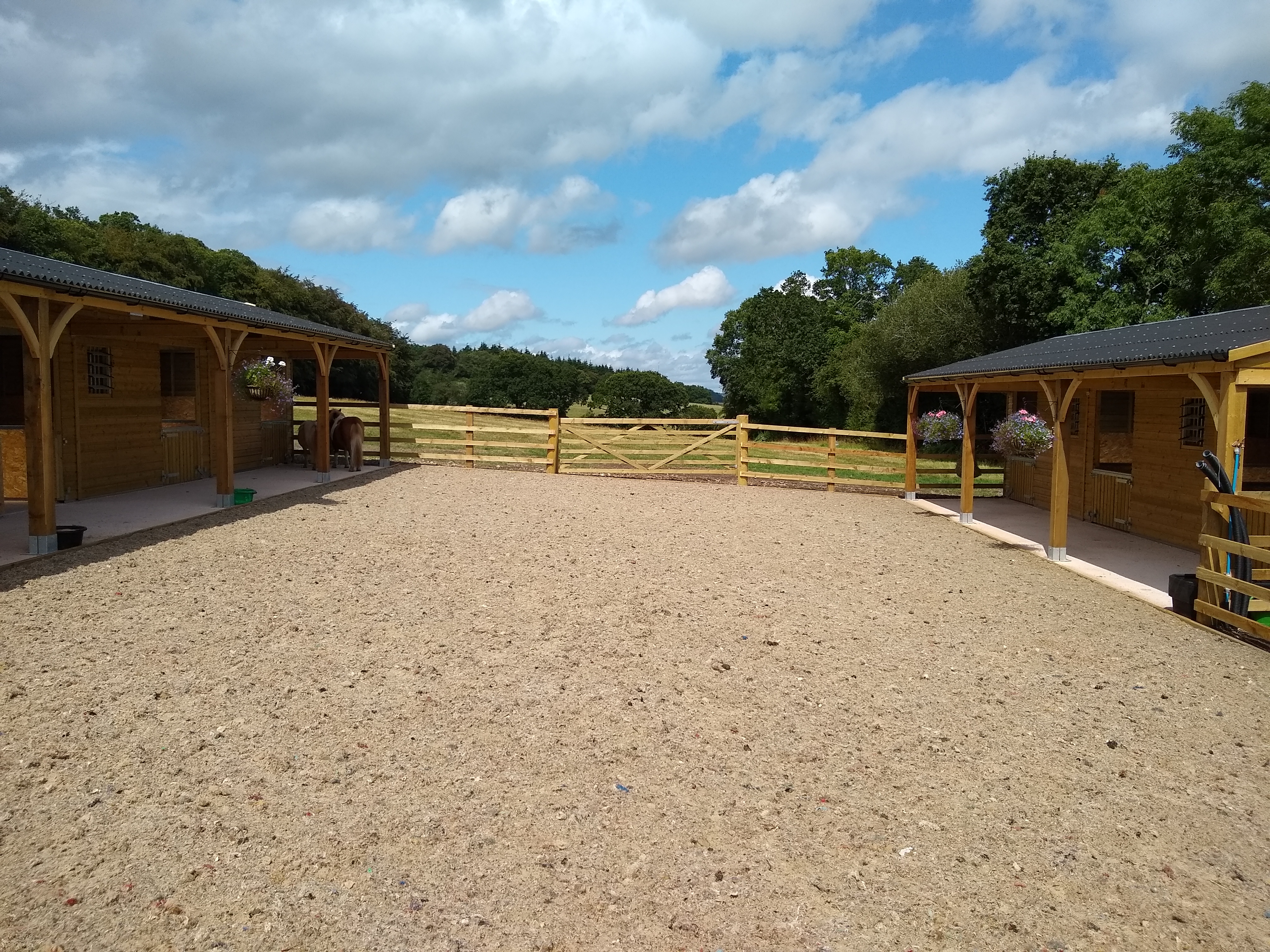 pony stables at munchkins miniature Shetland rescue