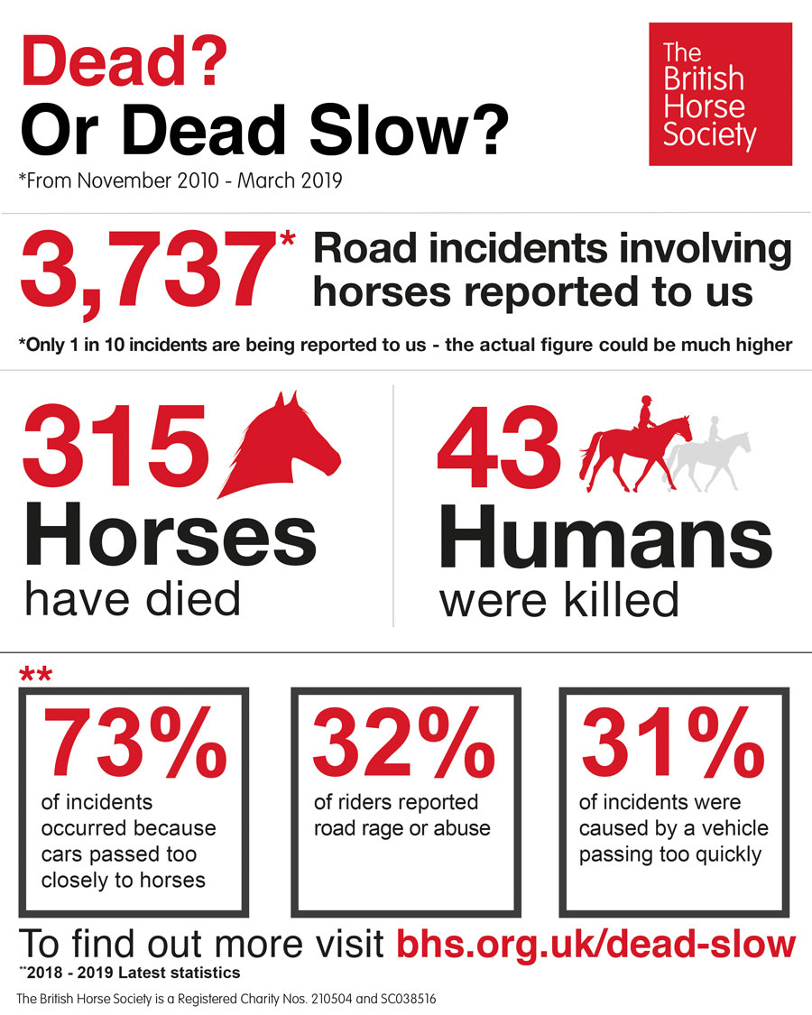 British Horse Society Dead or Dead slow