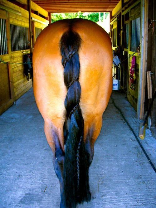 spiral horse tail braid